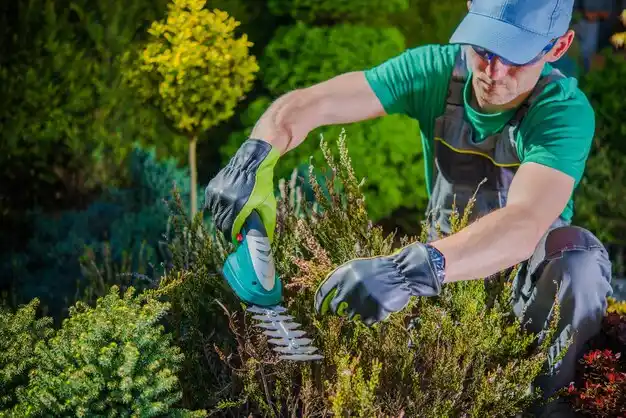 landscaping services Alton